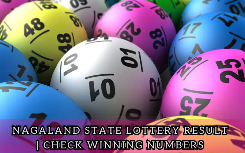 Nagaland State Lottery Result